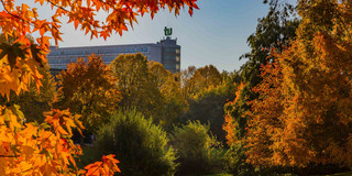 Maths Tower autumn_02 The building of the Department of Mathematics with trees in autumn colors.